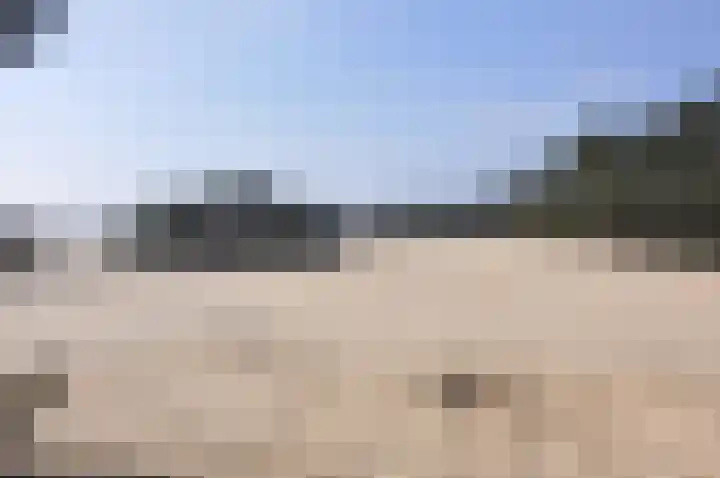 Houtrustweg 16 't Harde thumbnail 73