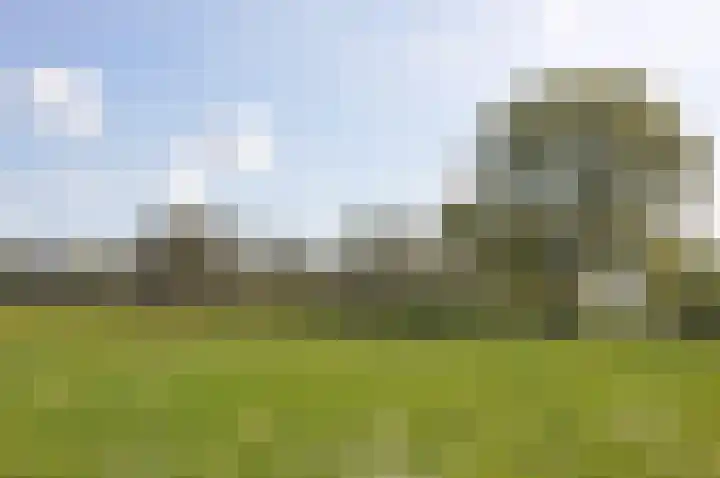 Houtrustweg 16 't Harde thumbnail 74