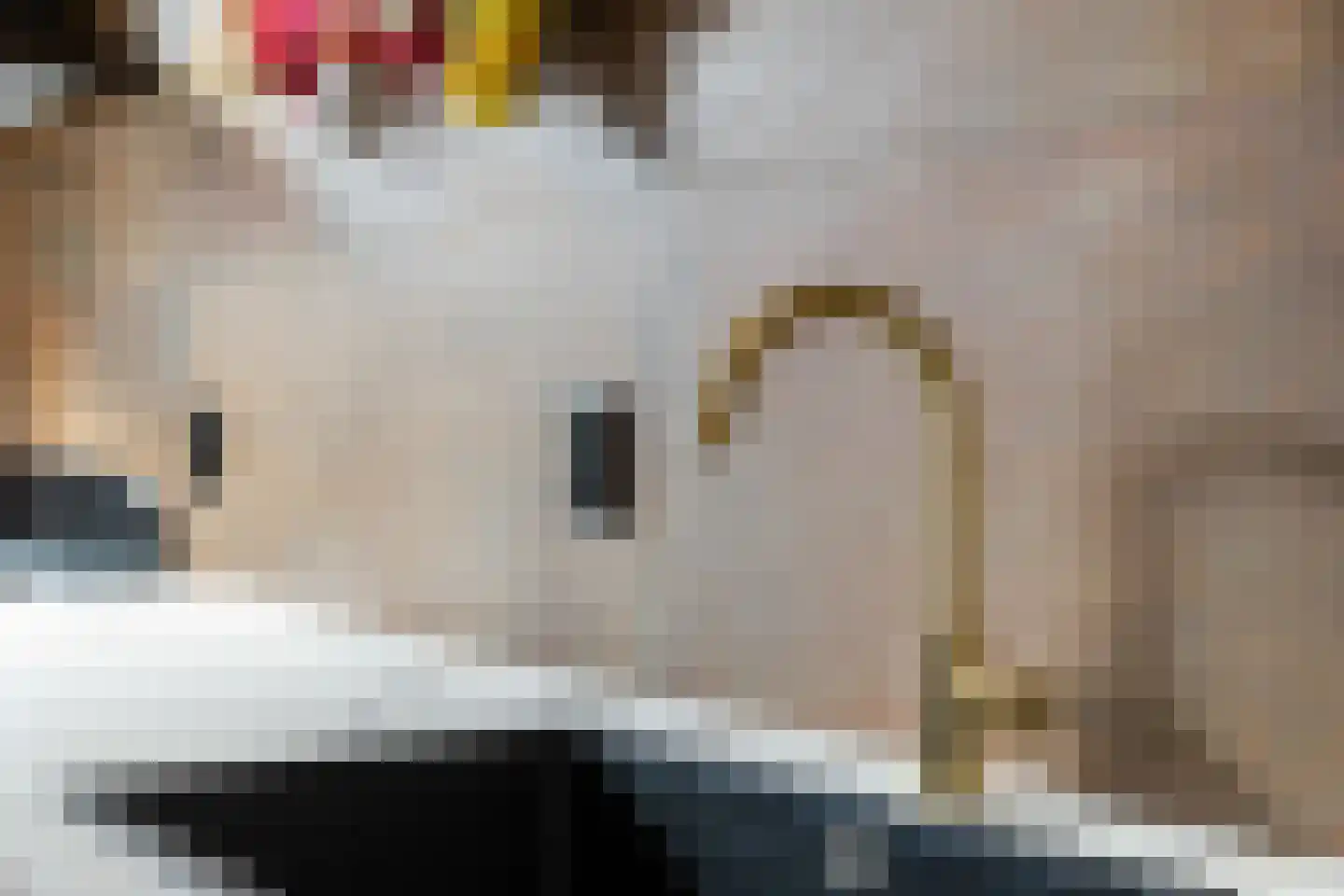 Houtrustweg 19 't Harde thumbnail 17
