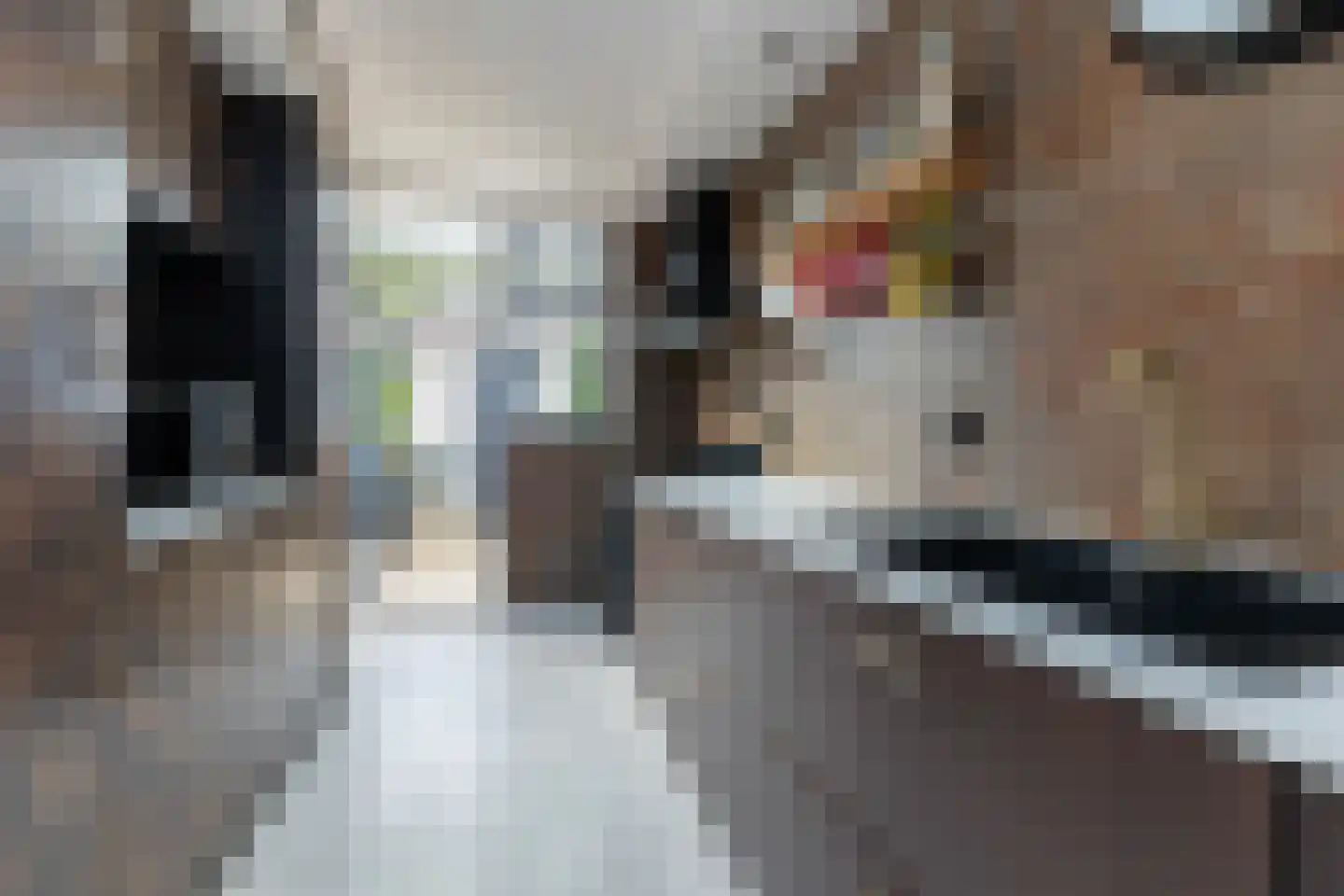 Houtrustweg 19 't Harde thumbnail 18