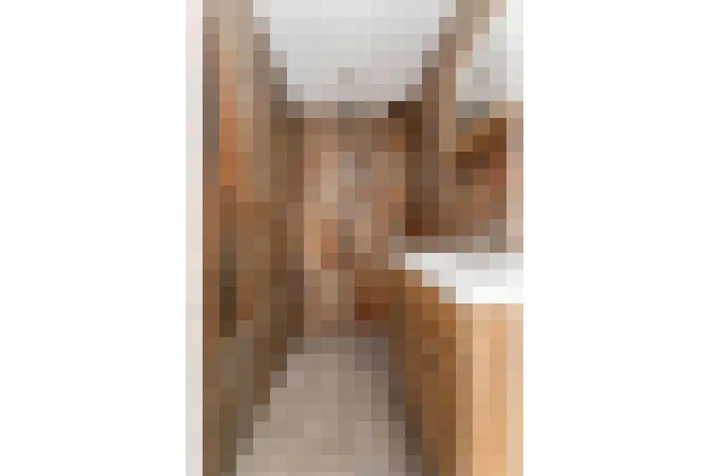 Houtrustweg 19 't Harde thumbnail 21