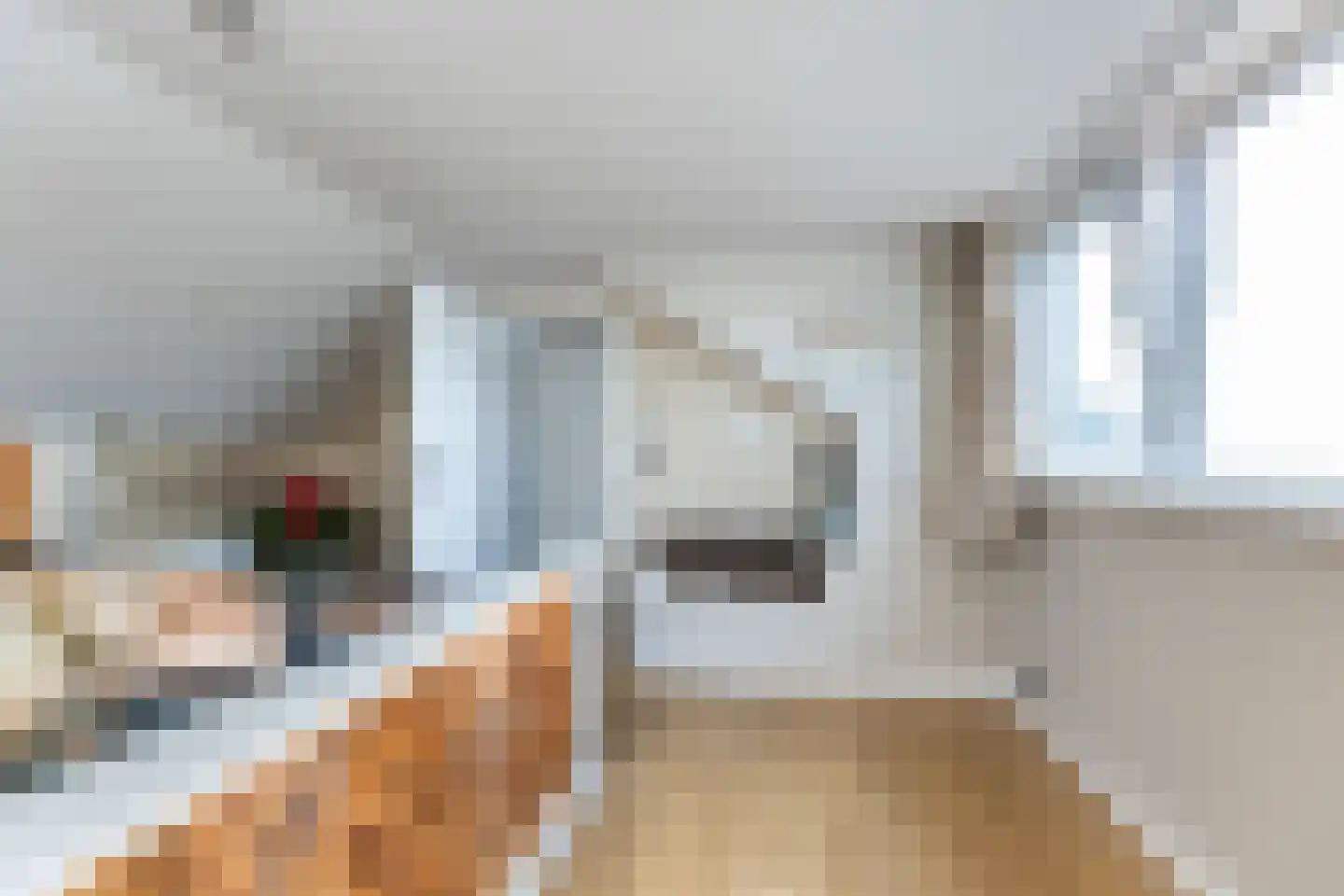 Houtrustweg 19 't Harde thumbnail 31