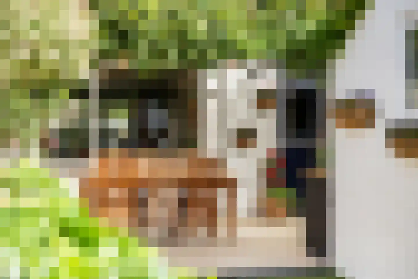 Houtrustweg 19 't Harde thumbnail 36