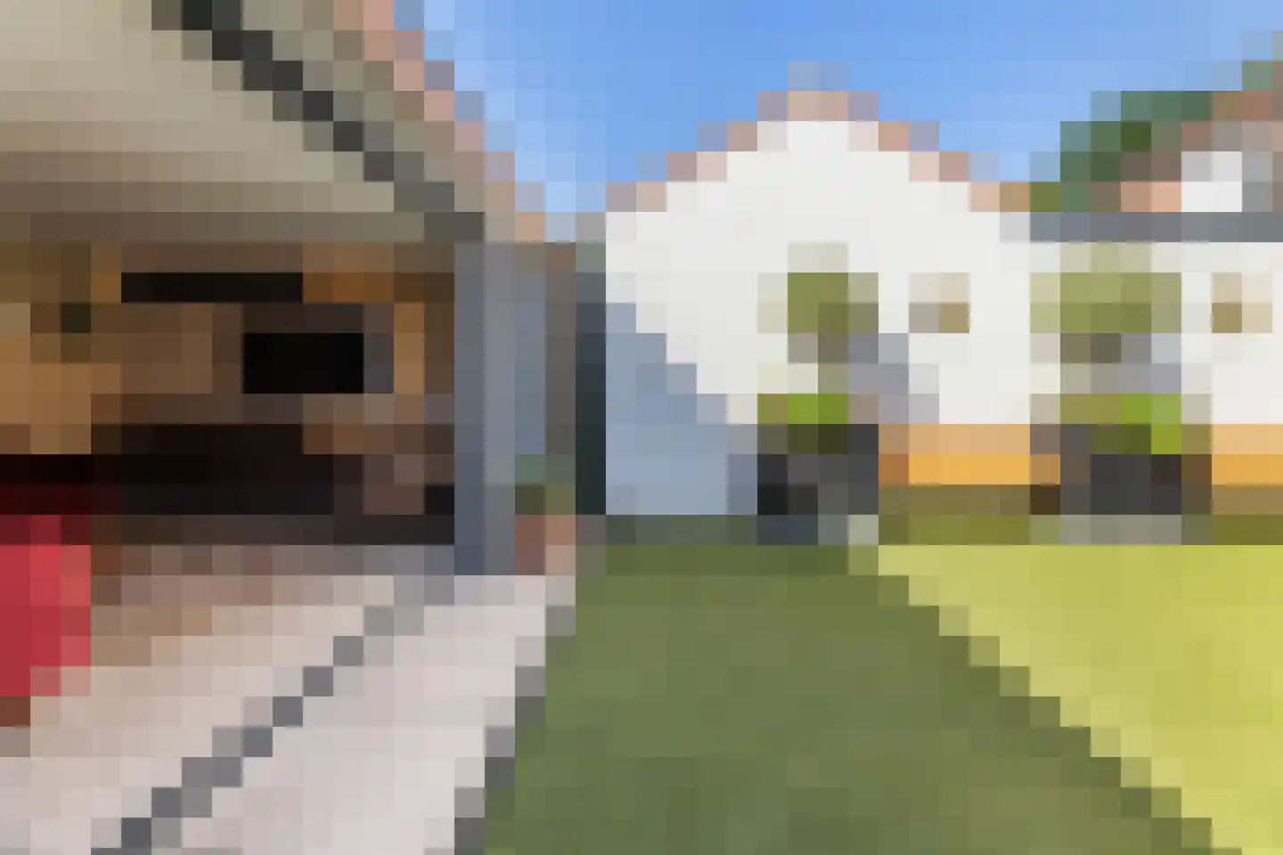 Houtrustweg 19 't Harde thumbnail 42