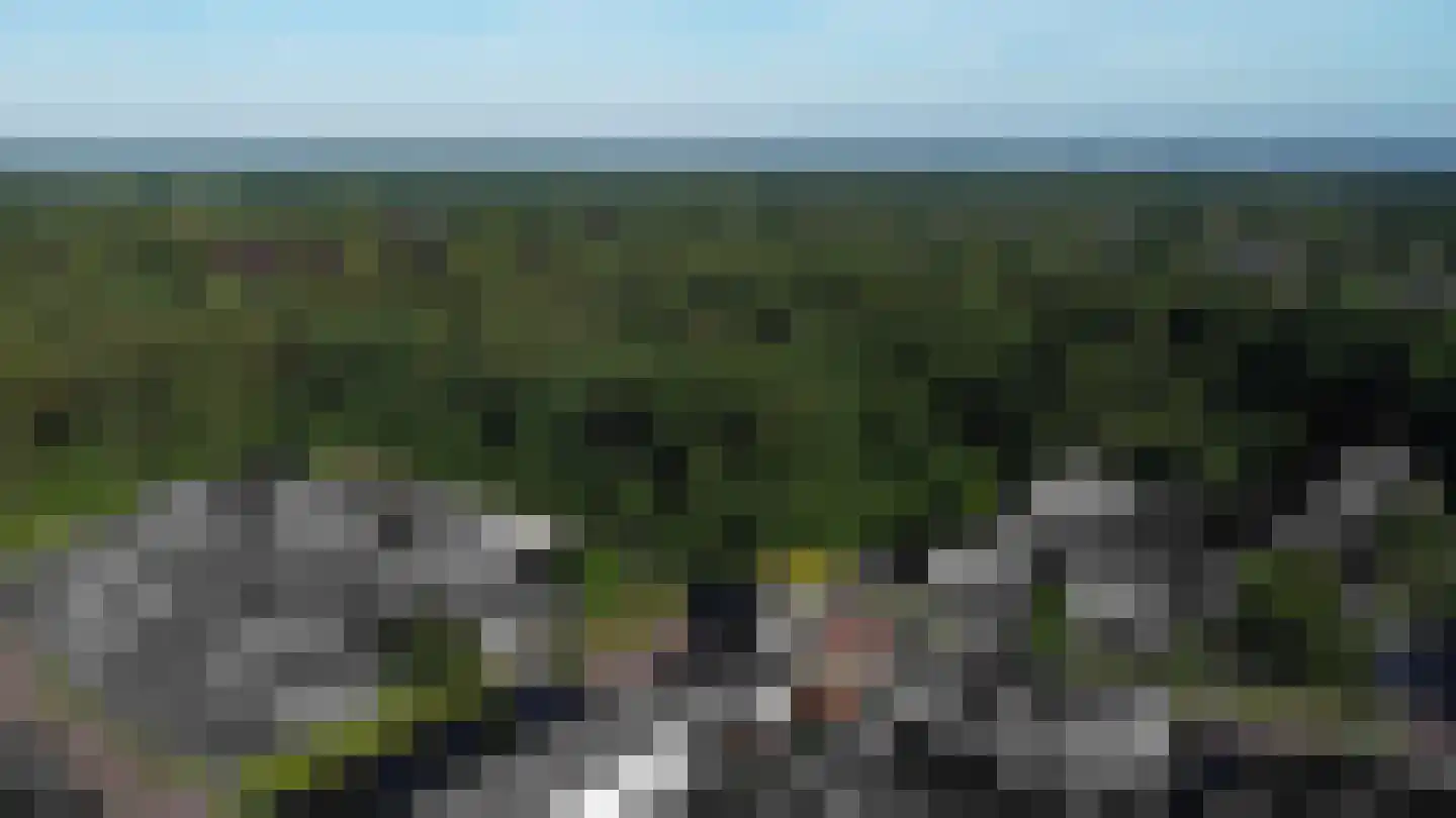 Houtrustweg 19 't Harde thumbnail 51