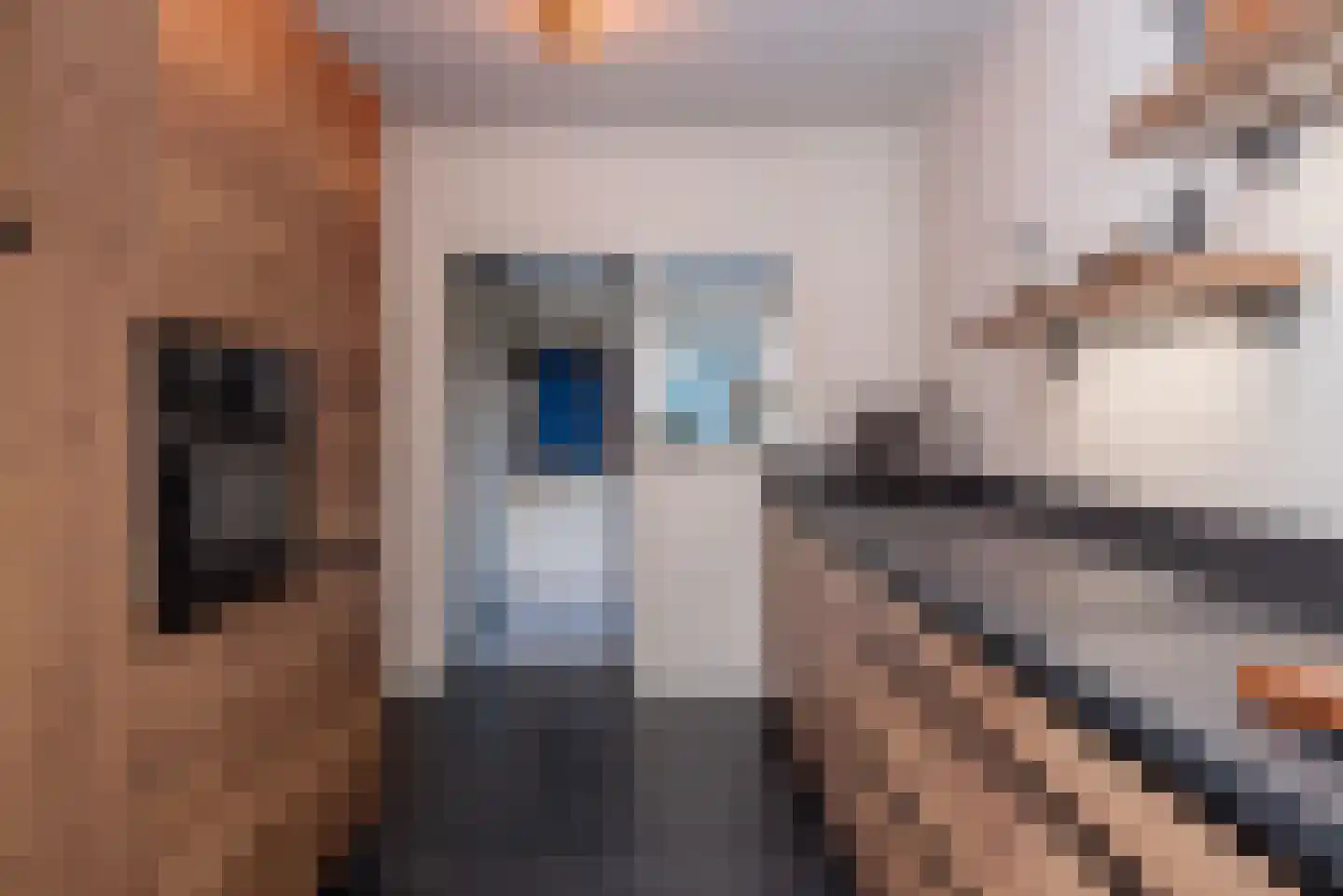 Houtrustweg 21 't Harde thumbnail 15