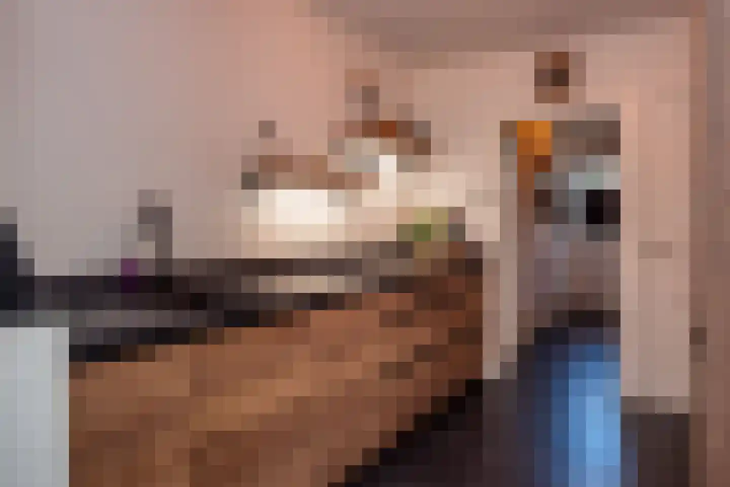 Houtrustweg 21 't Harde thumbnail 16