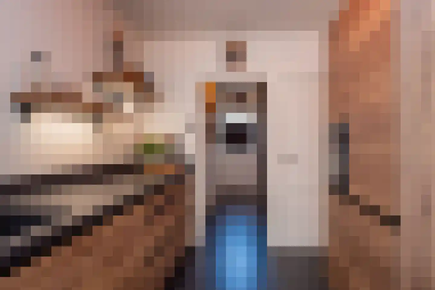 Houtrustweg 21 't Harde thumbnail 17