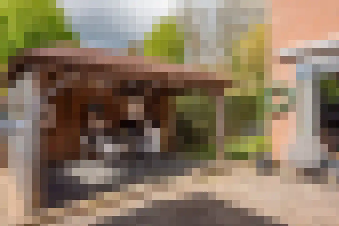 Houtrustweg 21 't Harde thumbnail 38
