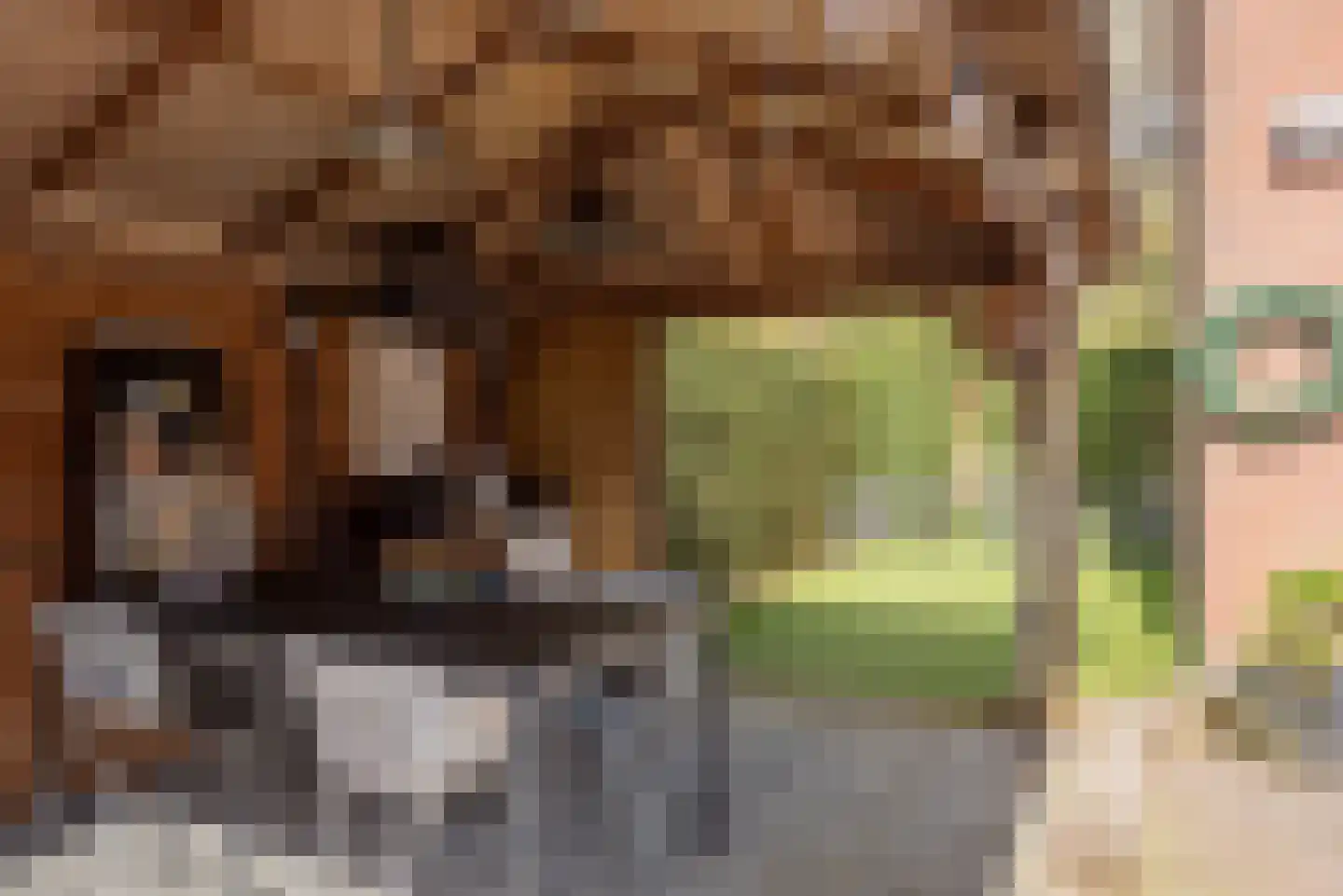 Houtrustweg 21 't Harde thumbnail 40