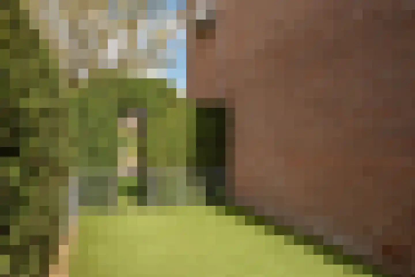 Houtrustweg 21 't Harde thumbnail 41