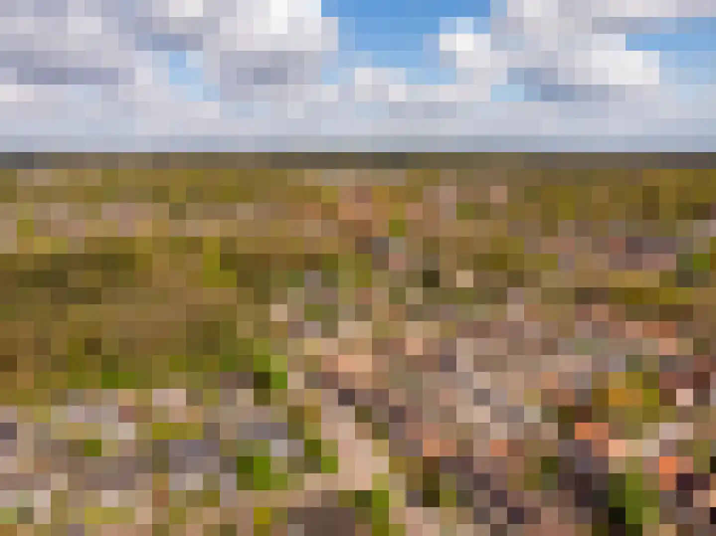 Houtrustweg 21 't Harde thumbnail 48