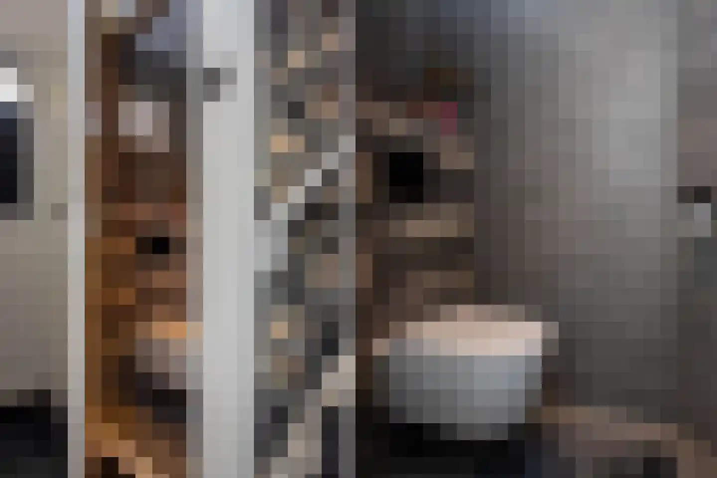 Houtrustweg 21 't Harde thumbnail 5