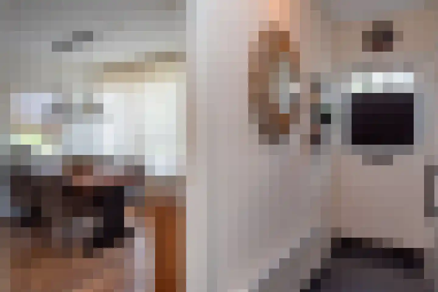 Houtrustweg 21 't Harde thumbnail 7