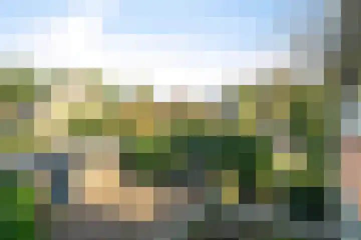 Houtrustweg 22 't Harde thumbnail 35