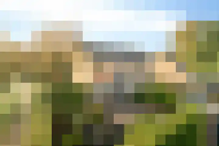 Houtrustweg 22 't Harde thumbnail 36