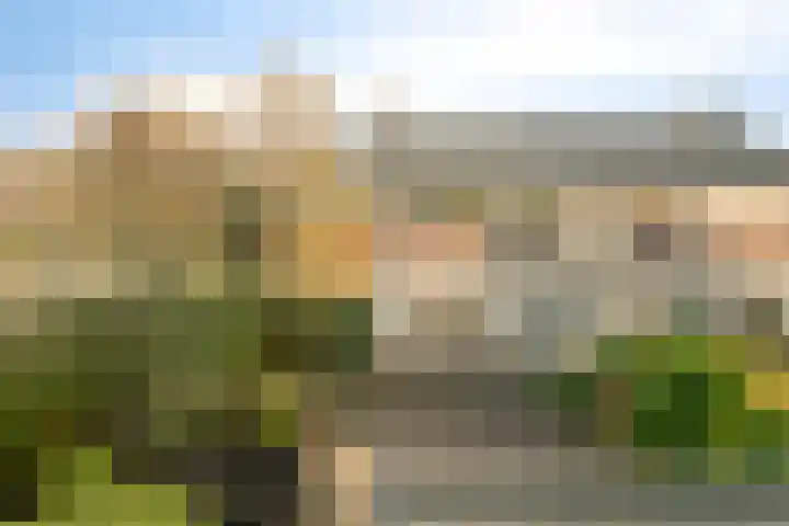 Houtrustweg 22 't Harde thumbnail 37