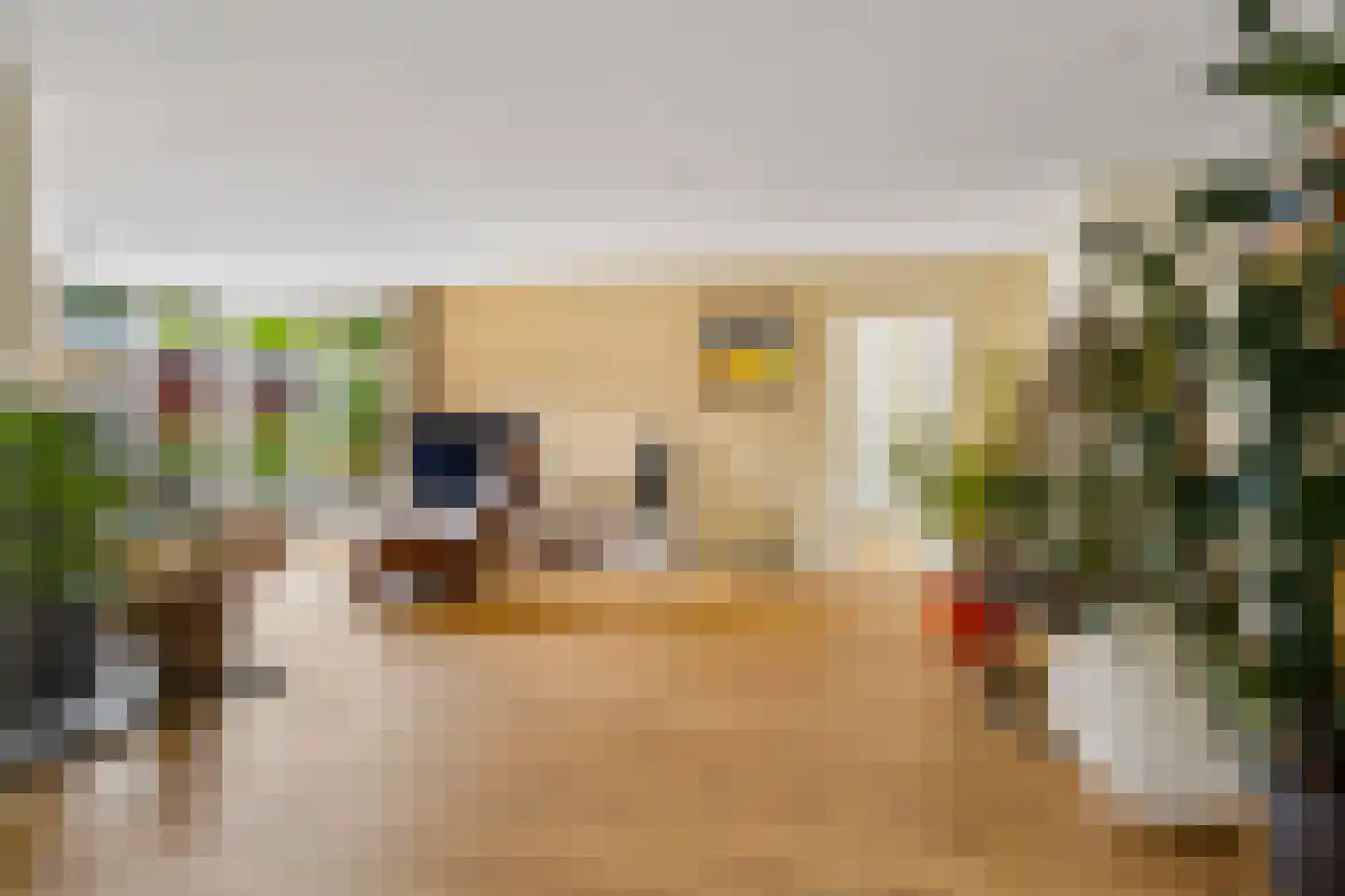 Houtrustweg 40 't Harde thumbnail 13