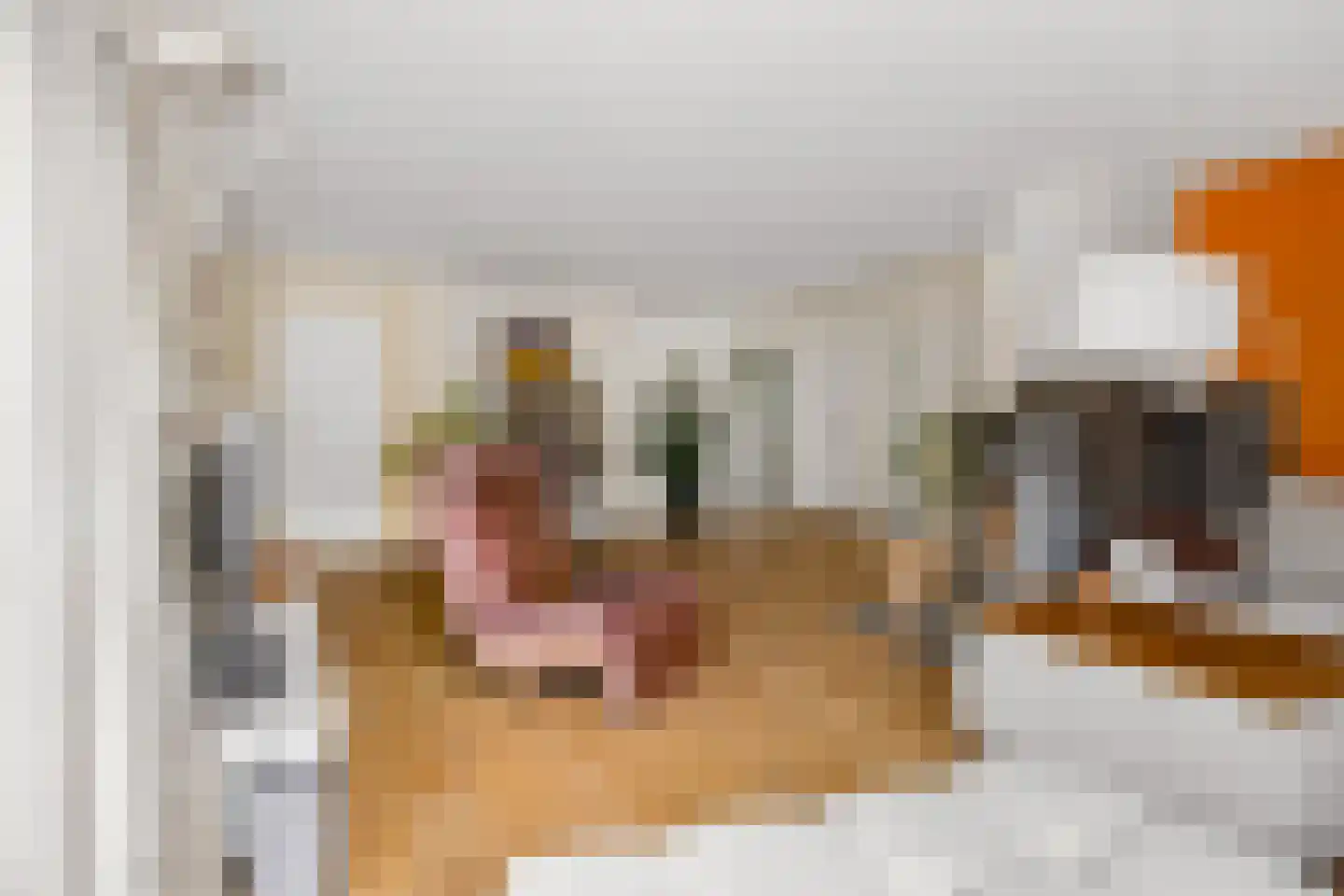 Houtrustweg 40 't Harde thumbnail 18