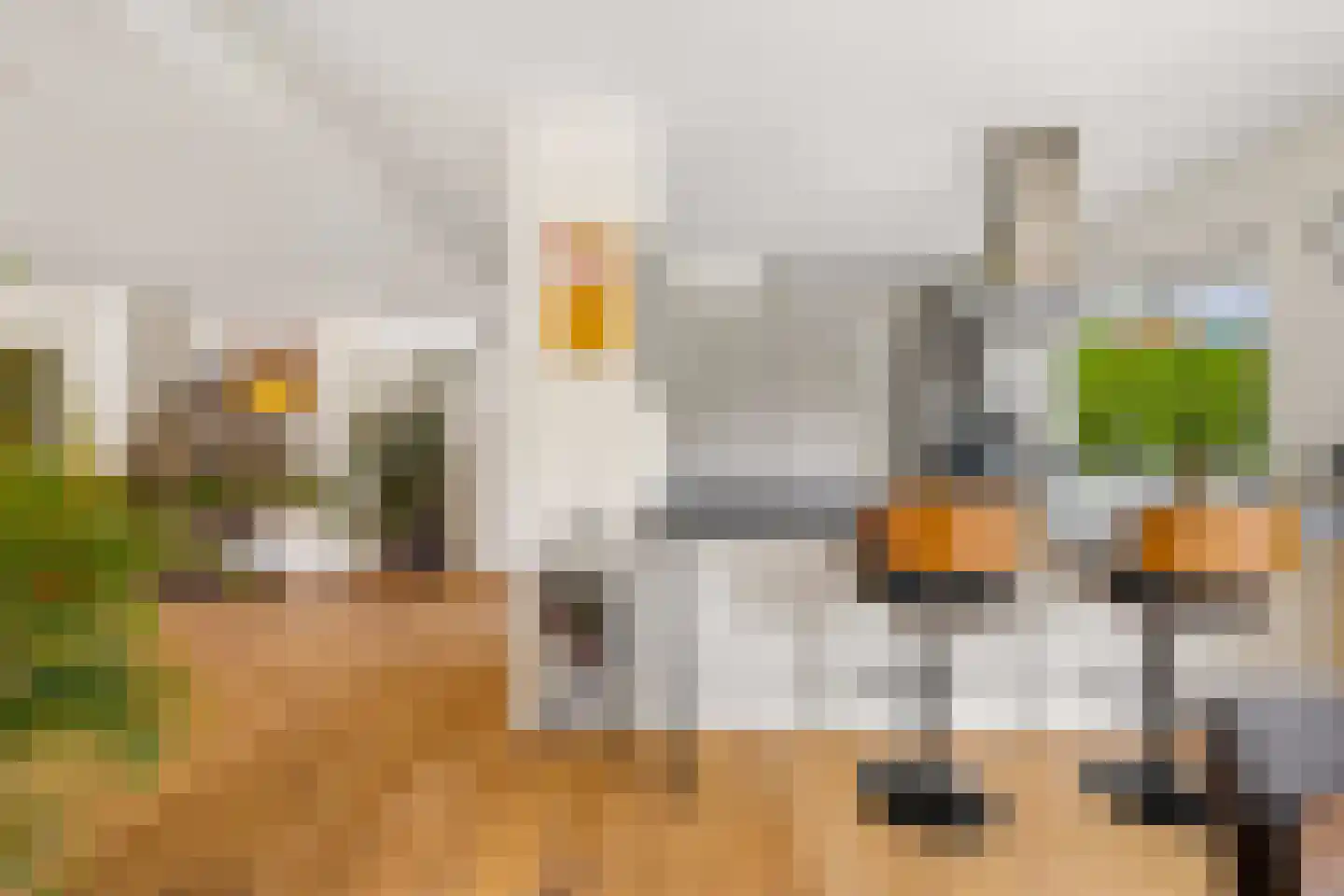 Houtrustweg 40 't Harde thumbnail 25