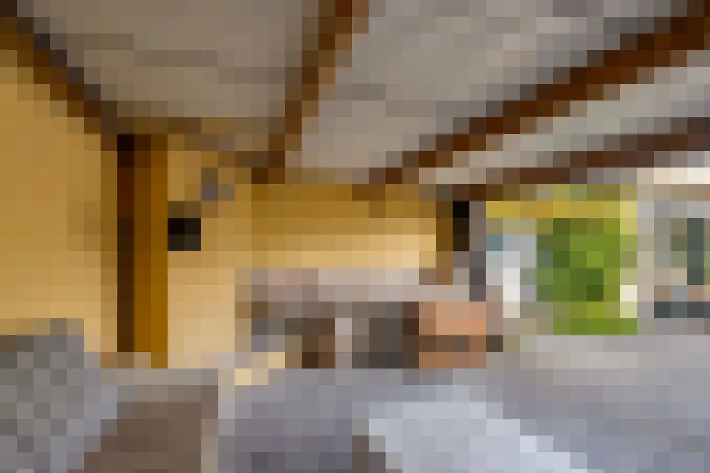 Houtrustweg 40 't Harde thumbnail 47