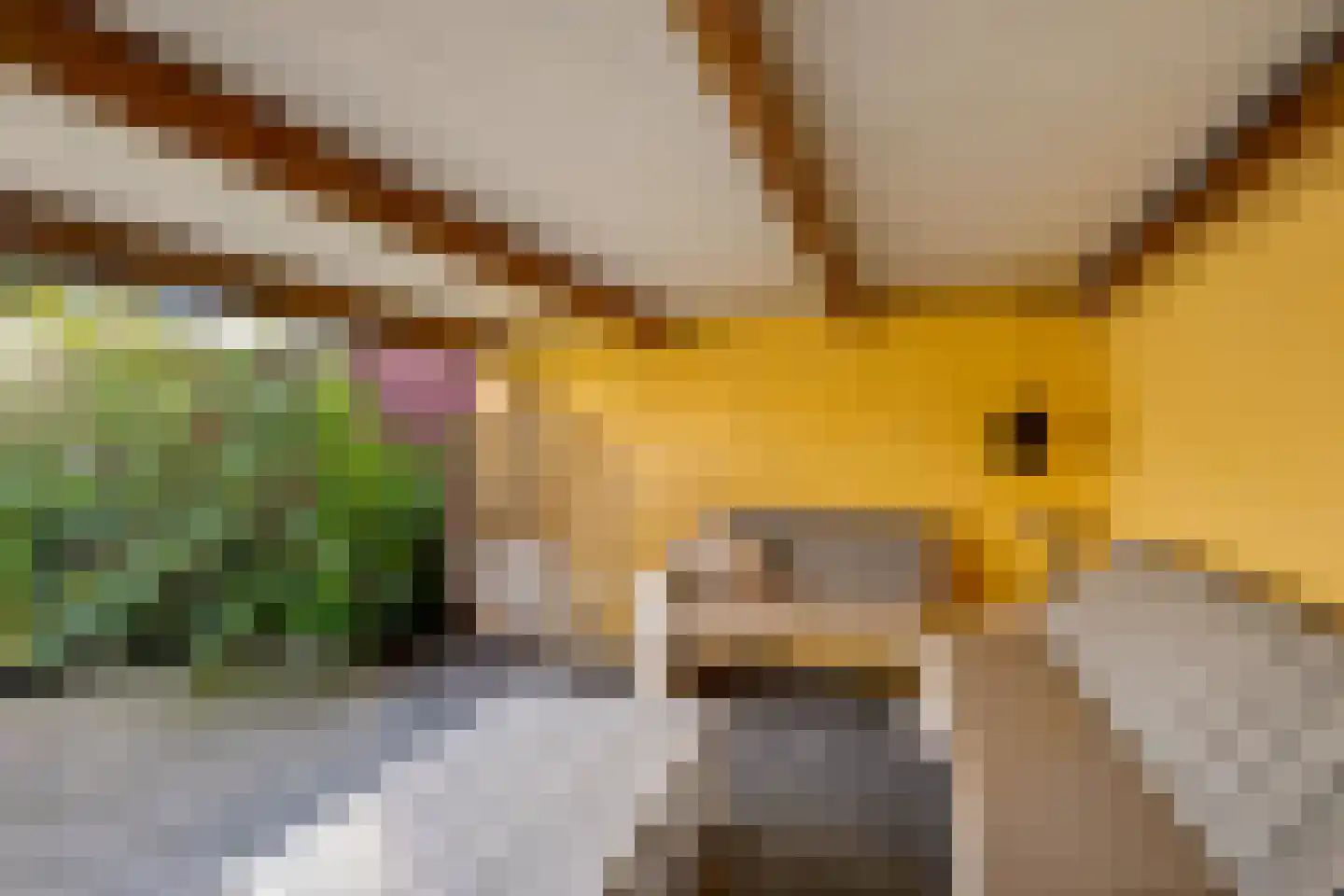 Houtrustweg 40 't Harde thumbnail 48