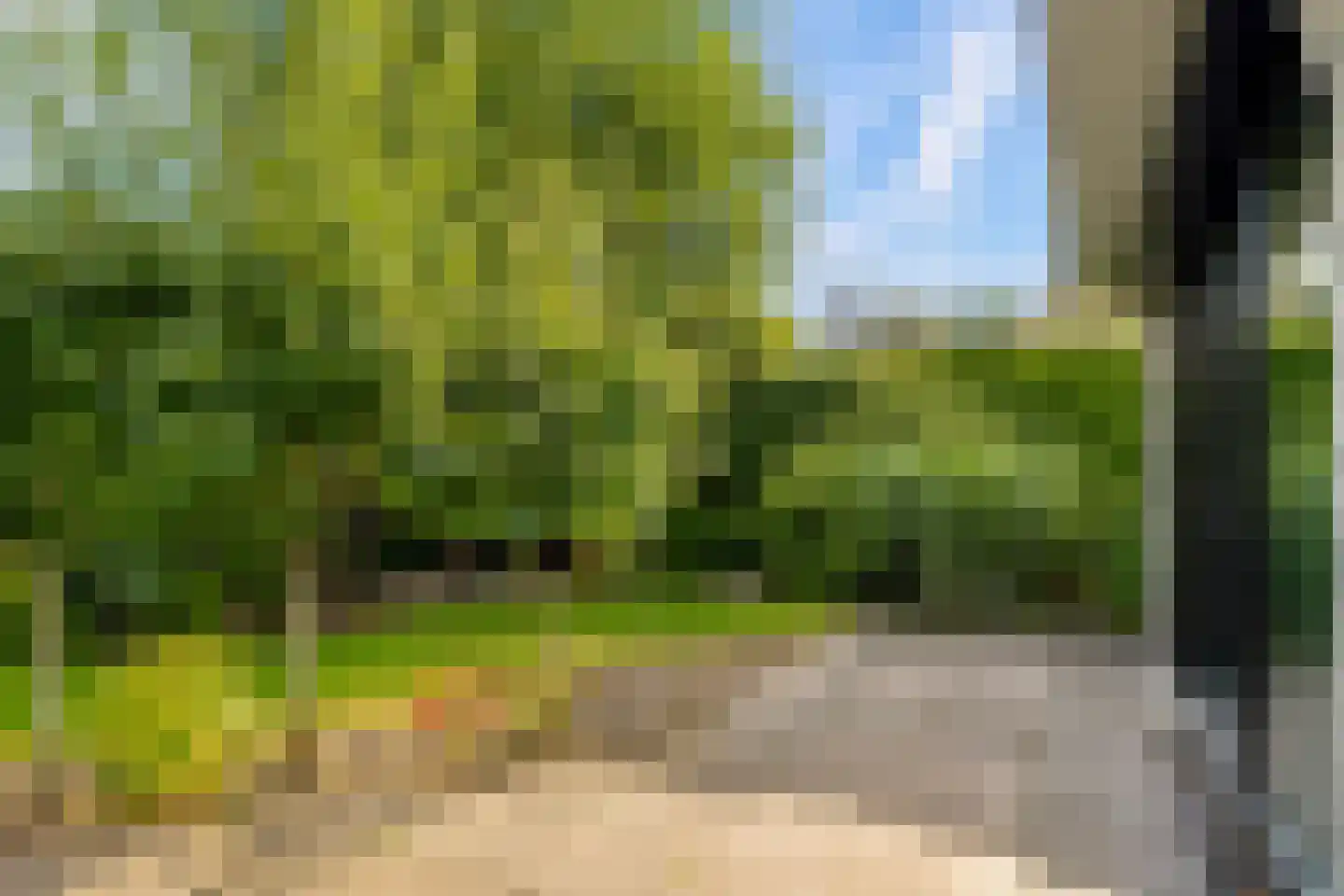 Houtrustweg 40 't Harde thumbnail 54