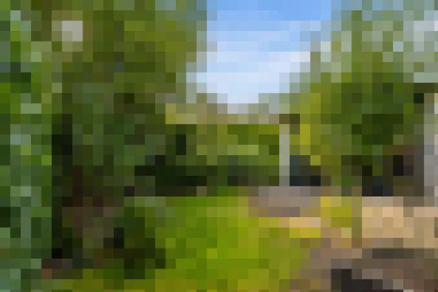 Houtrustweg 40 't Harde thumbnail 56