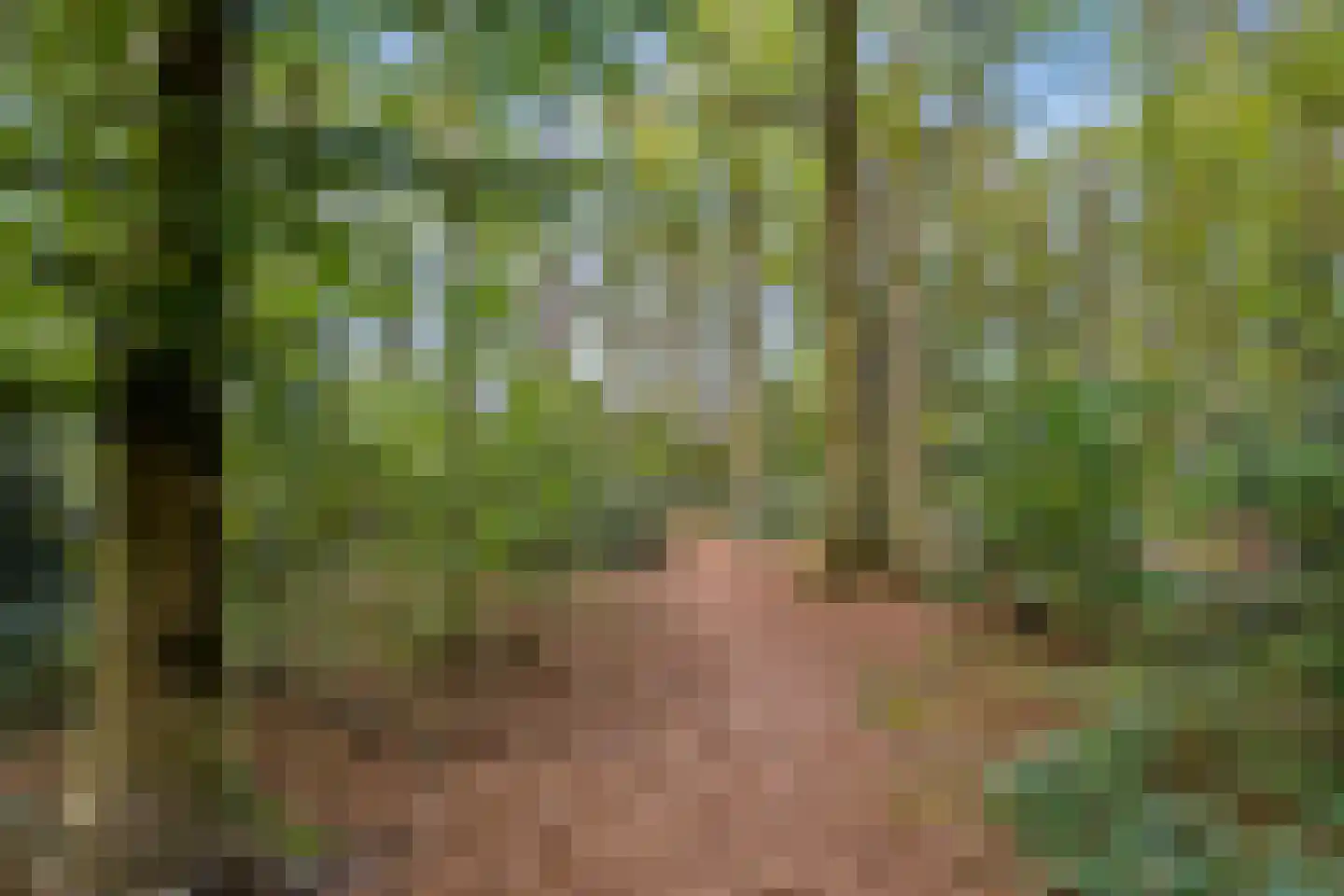 Houtrustweg 40 't Harde thumbnail 62