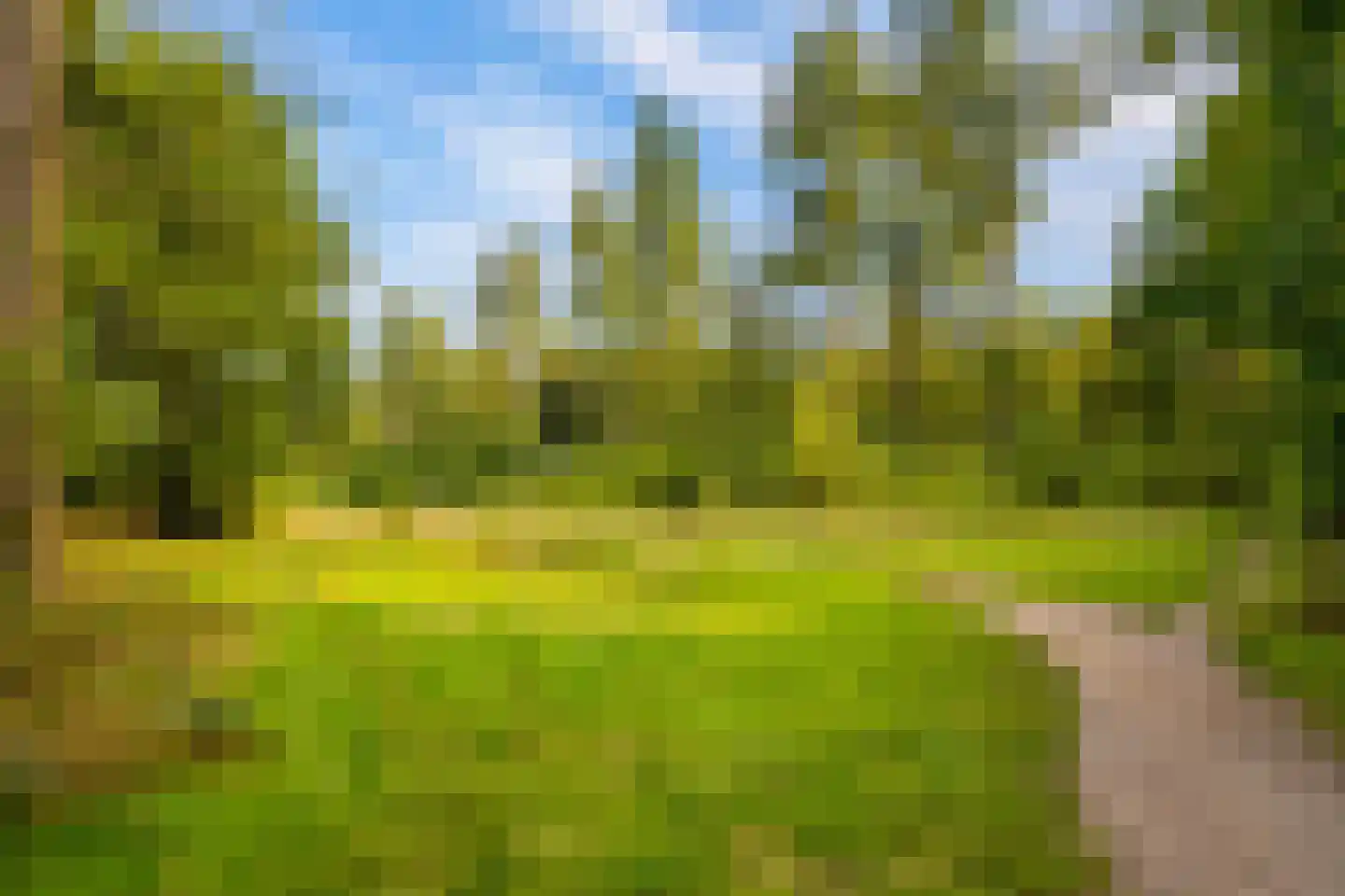 Houtrustweg 40 't Harde thumbnail 63