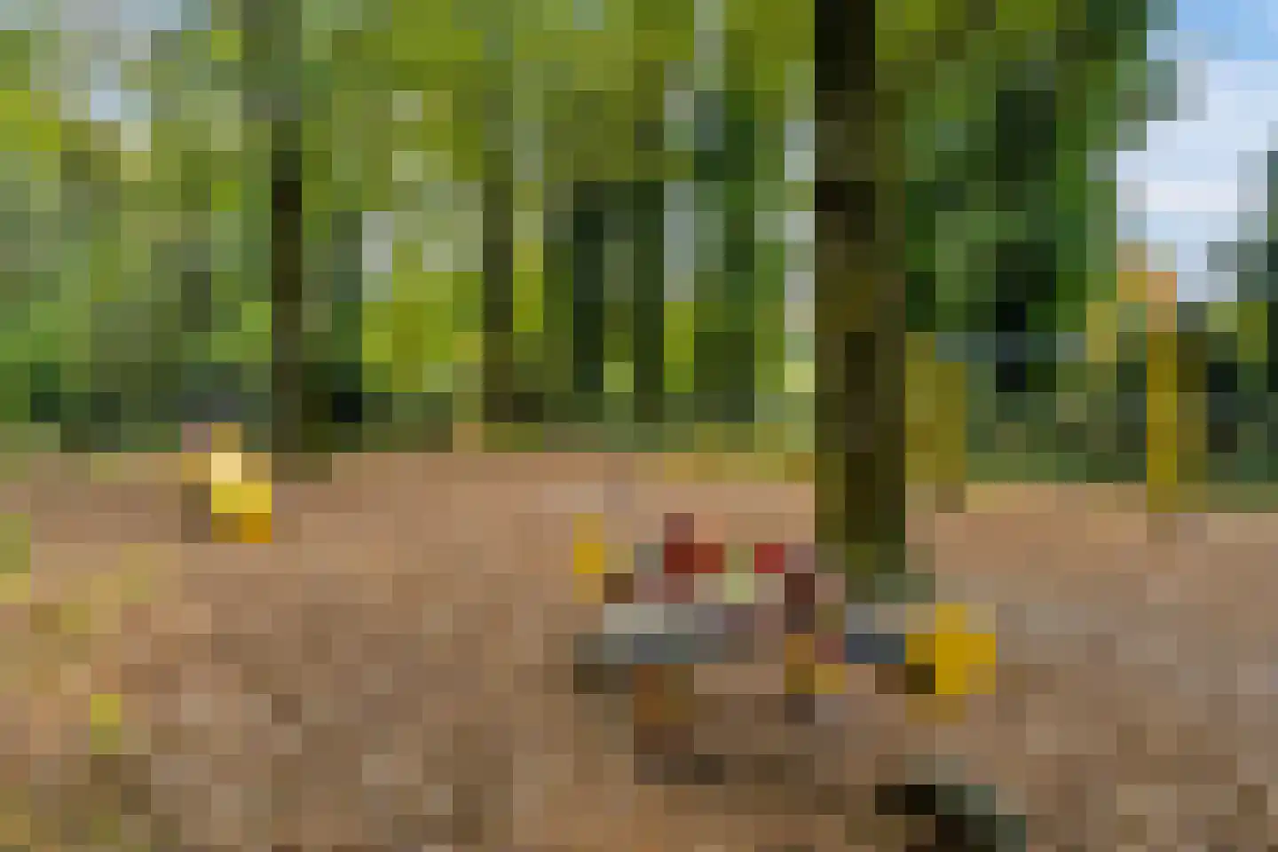 Houtrustweg 40 't Harde thumbnail 64