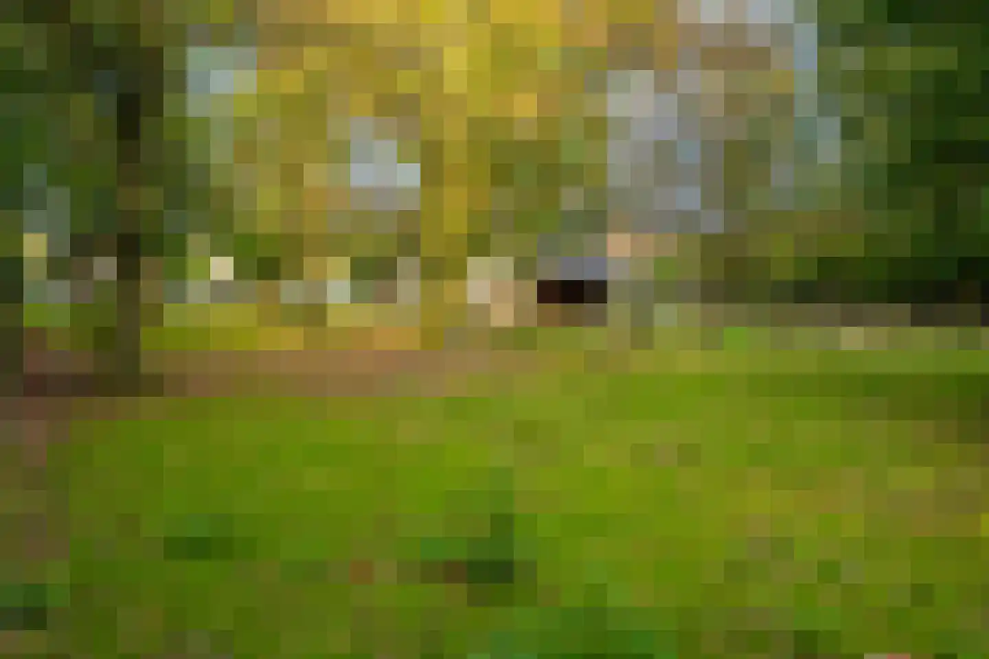 Houtrustweg 40 't Harde thumbnail 65