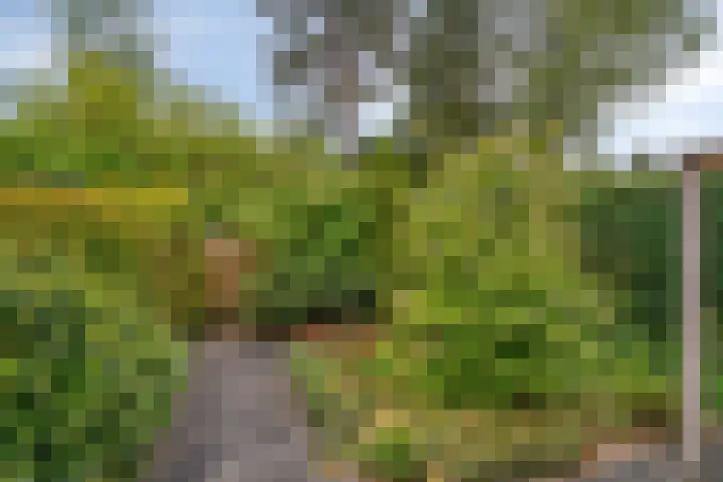Houtrustweg 62 't Harde thumbnail 32