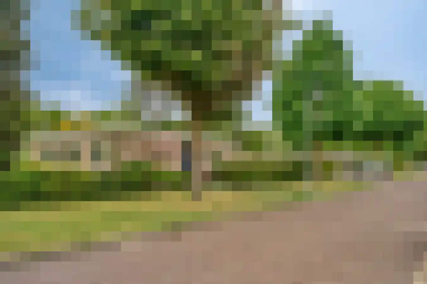 Houtrustweg 62 't Harde thumbnail 5