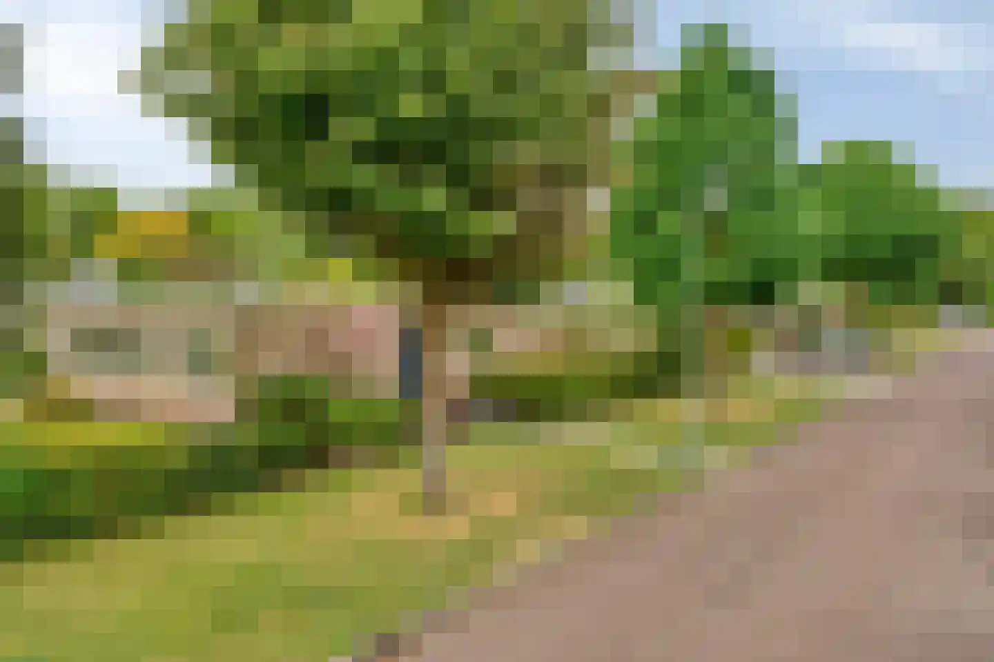 Houtrustweg 62 't Harde thumbnail 6