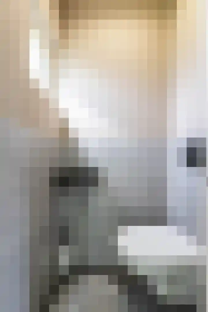 Houtsagersstrjitte 11 Burgum thumbnail 10