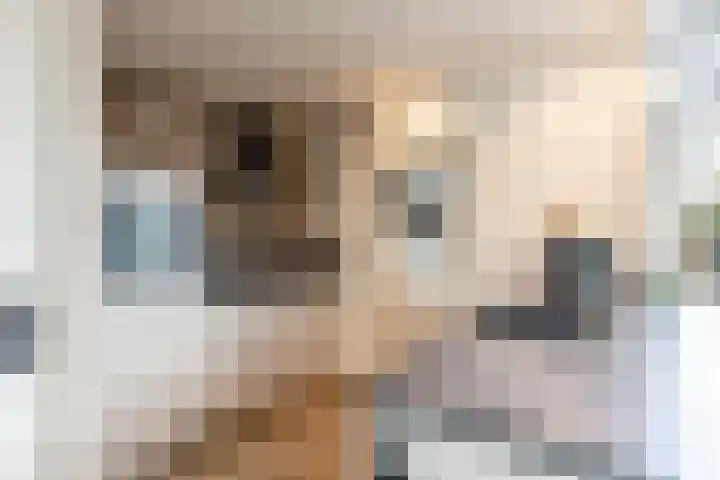 Houtsagersstrjitte 11 Burgum thumbnail 12