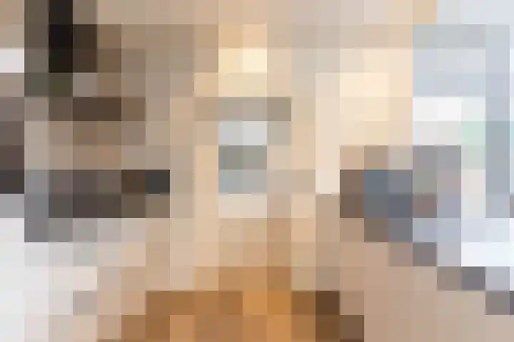 Houtsagersstrjitte 11 Burgum thumbnail 13