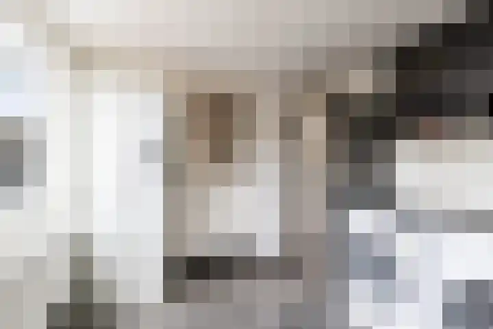 Houtsagersstrjitte 11 Burgum thumbnail 21