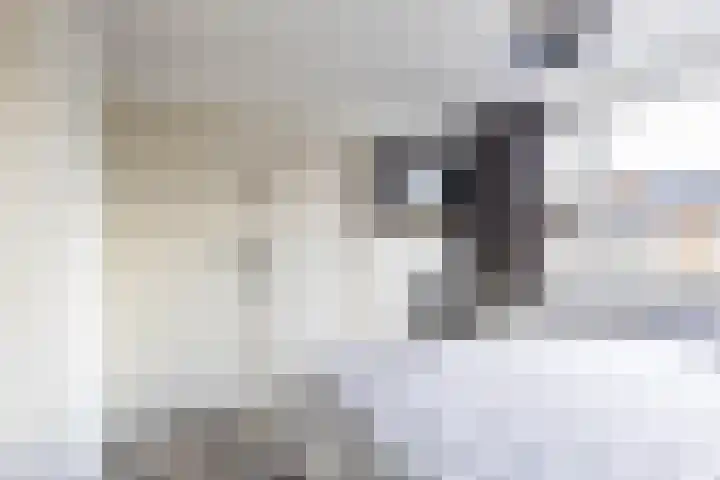Houtsagersstrjitte 11 Burgum thumbnail 25