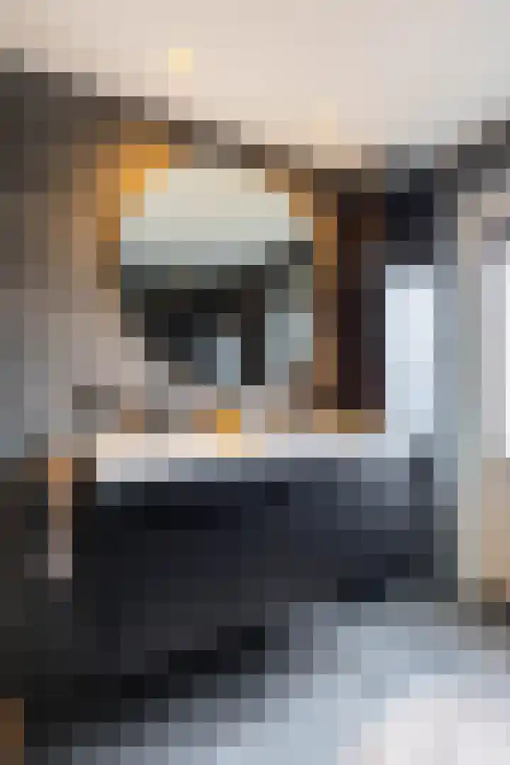 Houtsagersstrjitte 11 Burgum thumbnail 30
