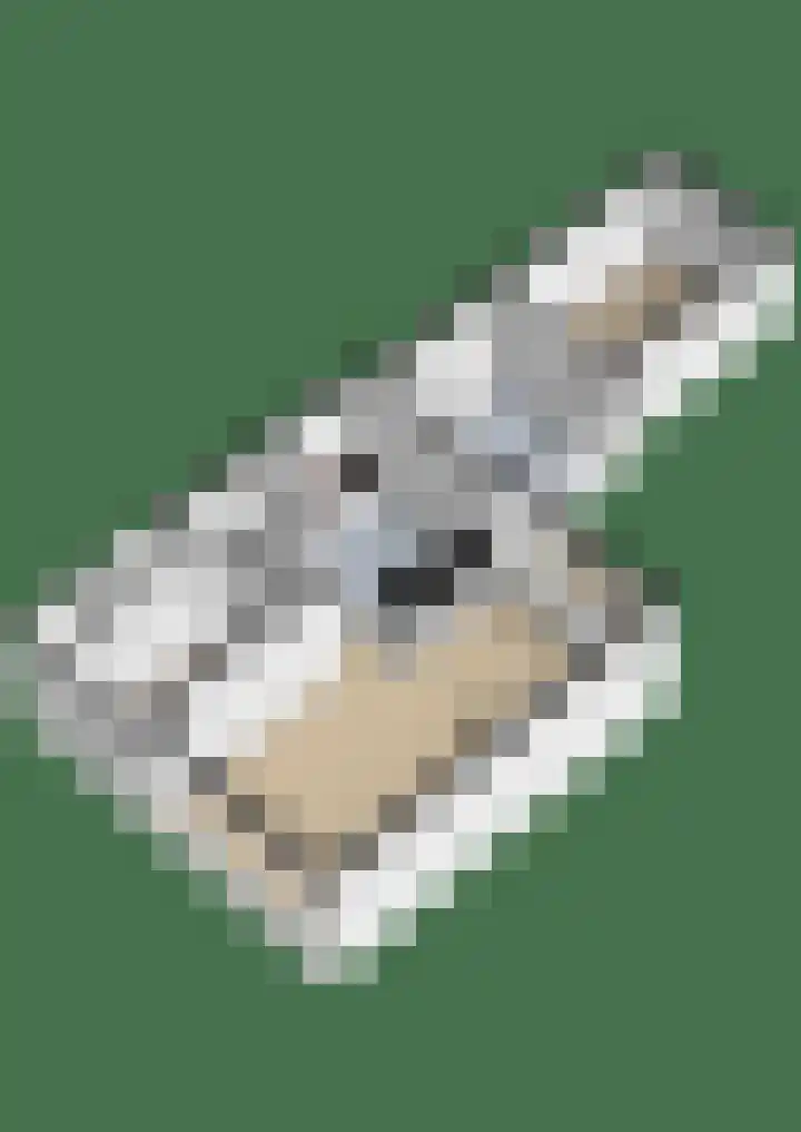 Houtsagersstrjitte 11 Burgum thumbnail 40