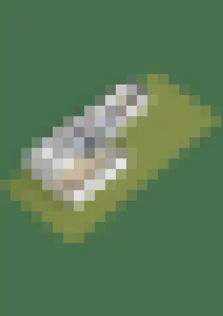 Houtsagersstrjitte 11 Burgum thumbnail 46