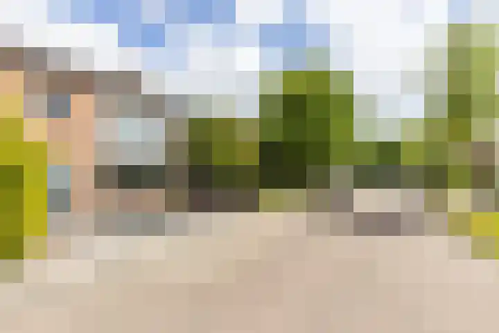 Houtsagersstrjitte 11 Burgum thumbnail 5