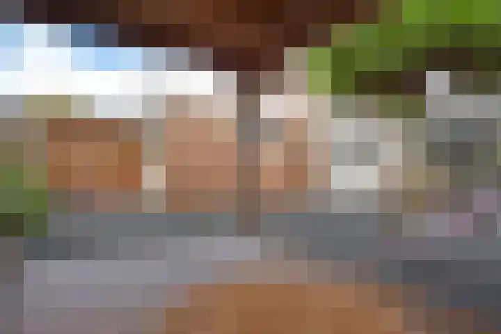 Houtsagersstrjitte 12 Burgum thumbnail 12