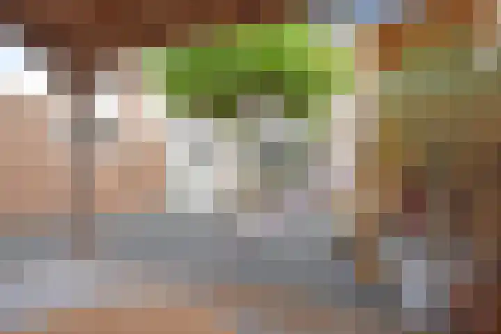 Houtsagersstrjitte 12 Burgum thumbnail 13