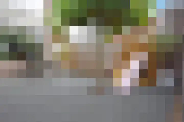 Houtsagersstrjitte 12 Burgum thumbnail 15