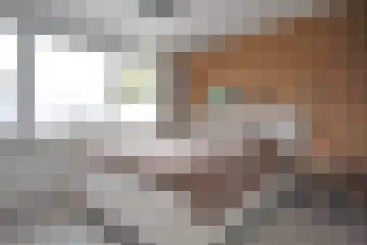 Houtsagersstrjitte 12 Burgum thumbnail 38