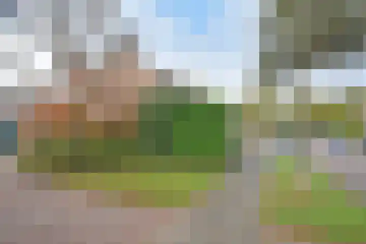 Houtsagersstrjitte 12 Burgum thumbnail 4