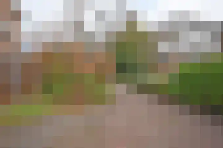 Houtsagersstrjitte 12 Burgum thumbnail 5